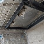 one way door raccoon exclusion