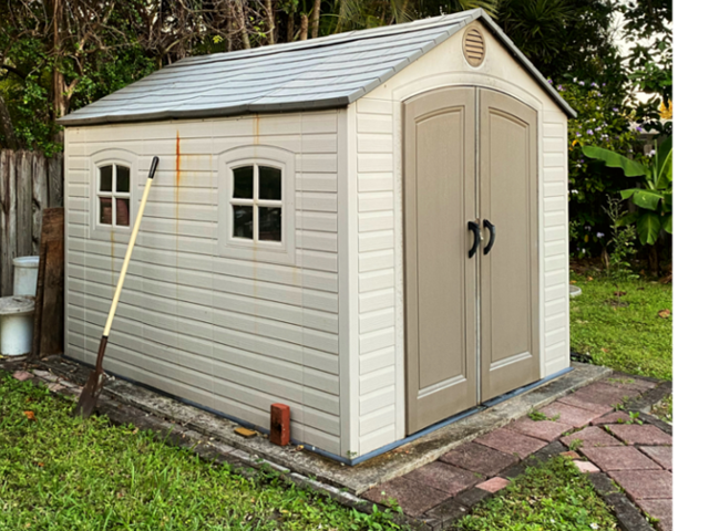 raccoons in shed