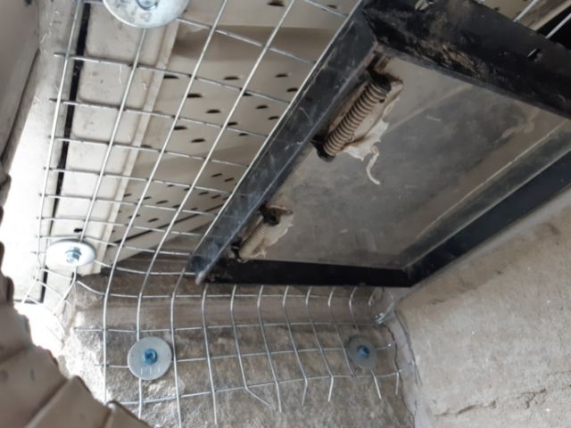 humane racoon trapping using one way door